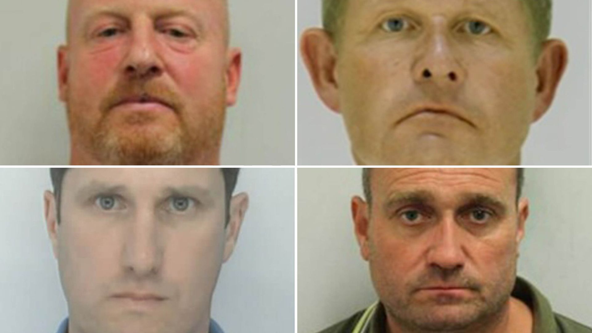 Gang jailed over plot to import cocaine and ketamine in frozen fish deliveries