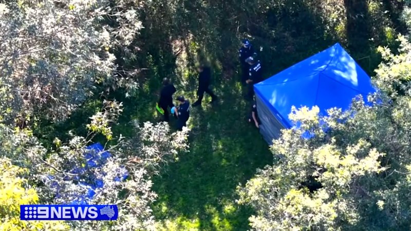 New details emerge around the discovery of a father's body in a Sydney creek